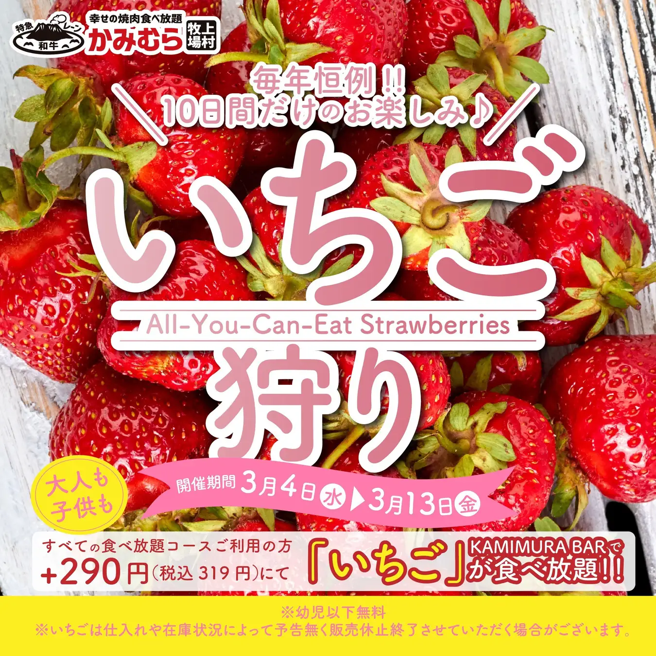 【かみむら牧場】焼肉屋さんでいちご狩り！？今年もやります！年に一度の「いちご」食べ放題を開催します！！2026年3月4日よりスタート！！
